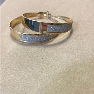 Elegant Gold and Silver Hoop Earrings